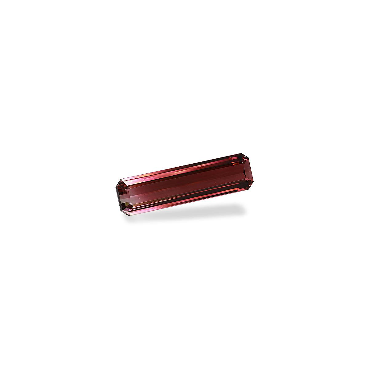 Bi Colour Tourmaline 32.43 ct